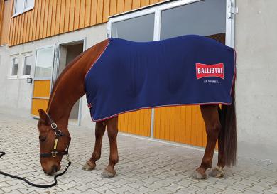 Ballistol Pferdedecke|aus Fleece dunkelblau mit Logo, Größe 125 cm 